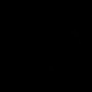 Meet your Posher, Leea